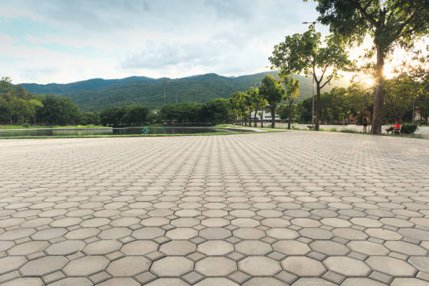 Best Commercial Driveway Pavers  in Kemp, TX